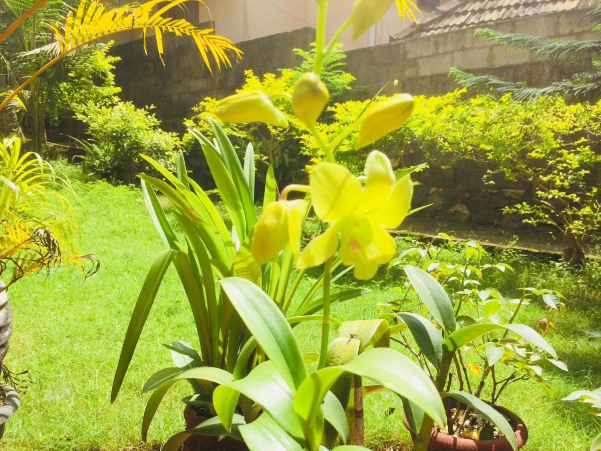 Ganesh House Ayurveda Homestay Ковалам Екстер'єр фото